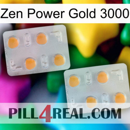 Zen Power Gold 3000 25